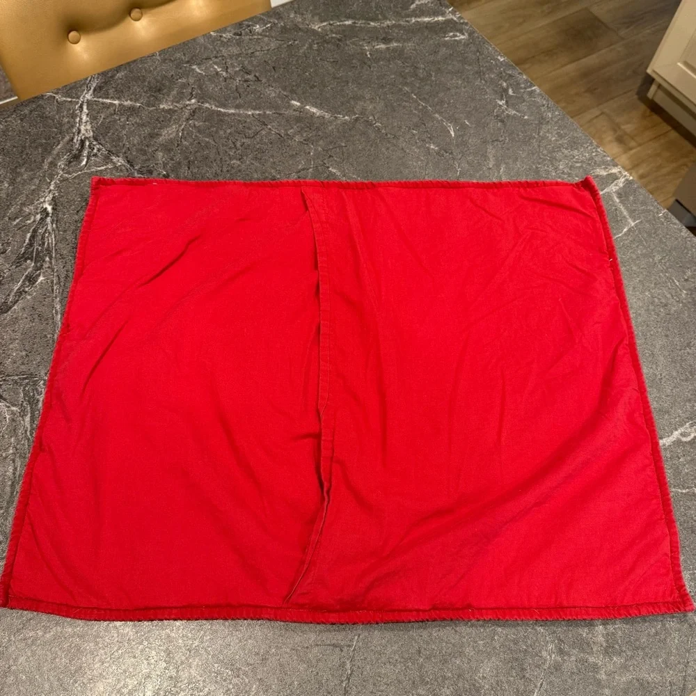 Pottery Barn Georgia paisley pillow standard shams red pink pair set